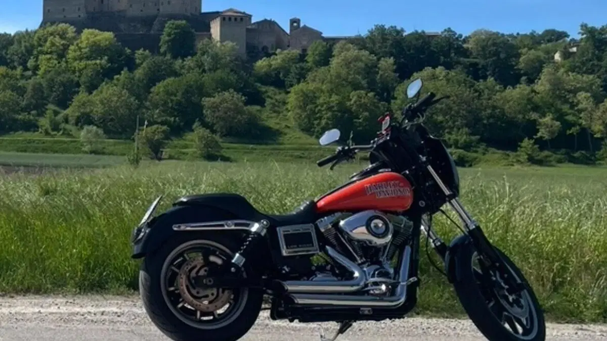 Harley-Davidson 1690 Low Rider (2014 - 17) - FXDL  (4)