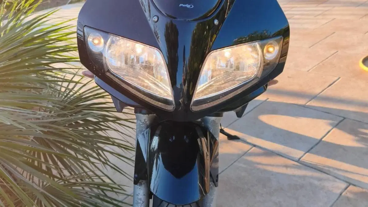 Suzuki SV 650 S (2006 - 11)  (3)