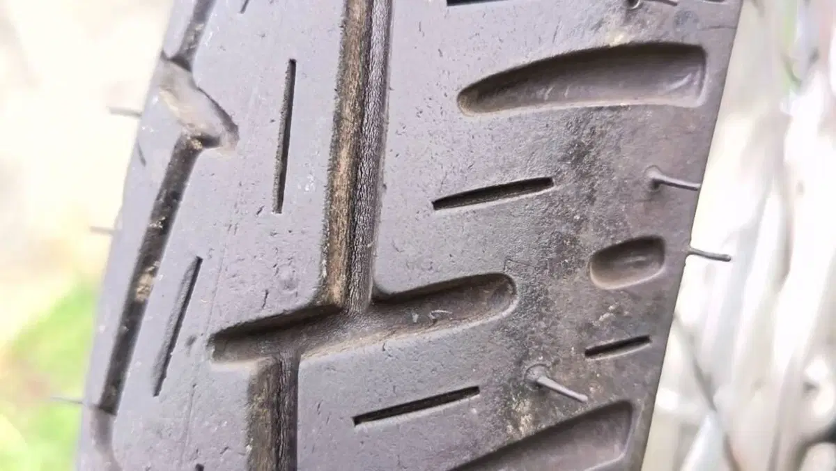 Yamaha   (10)