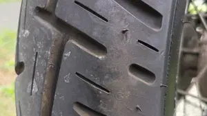 Yamaha   (11)