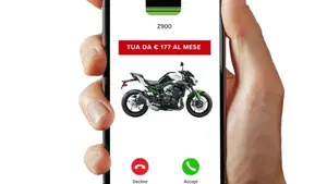 Kawasaki Z 900 A2 (2025 - 27)  (3)