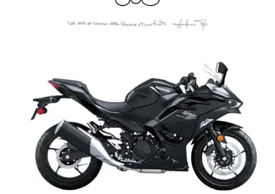 Kawasaki Ninja 500 (2024 - 27) - Annuncio 9838356