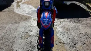 Betamotor RR 250 2T Enduro Race (2026)  (2)