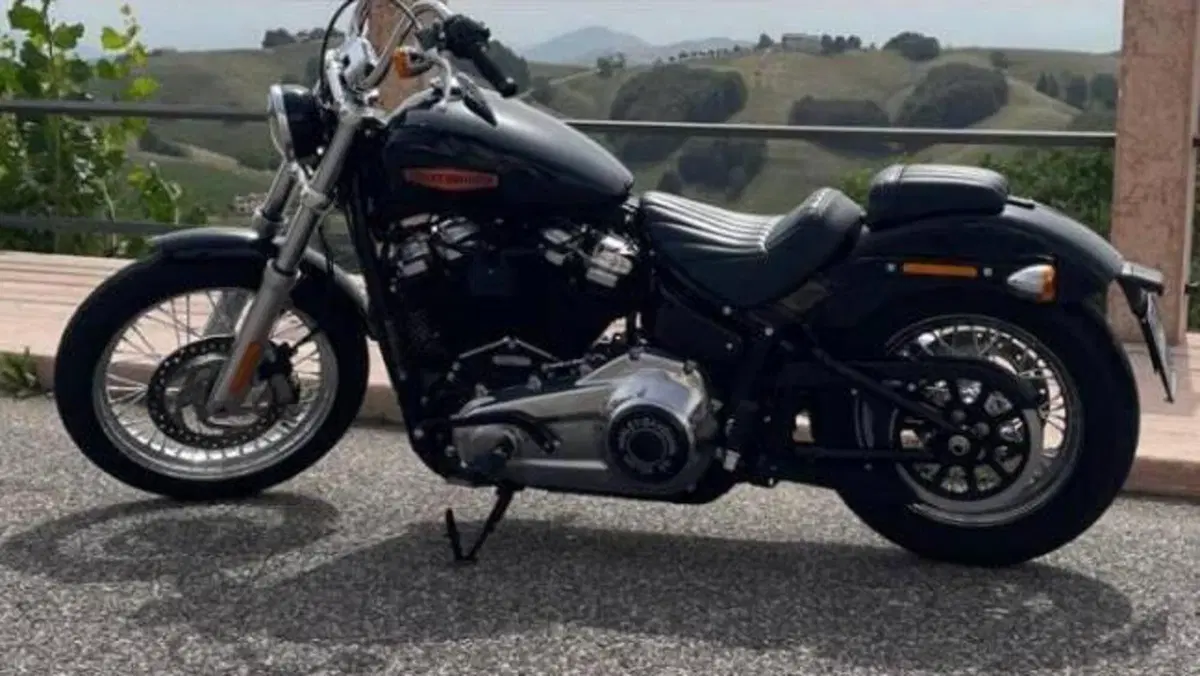Harley-Davidson Softail Standard (2021 - 25) 