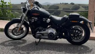 Harley-Davidson Softail Standard (2021 - 25)