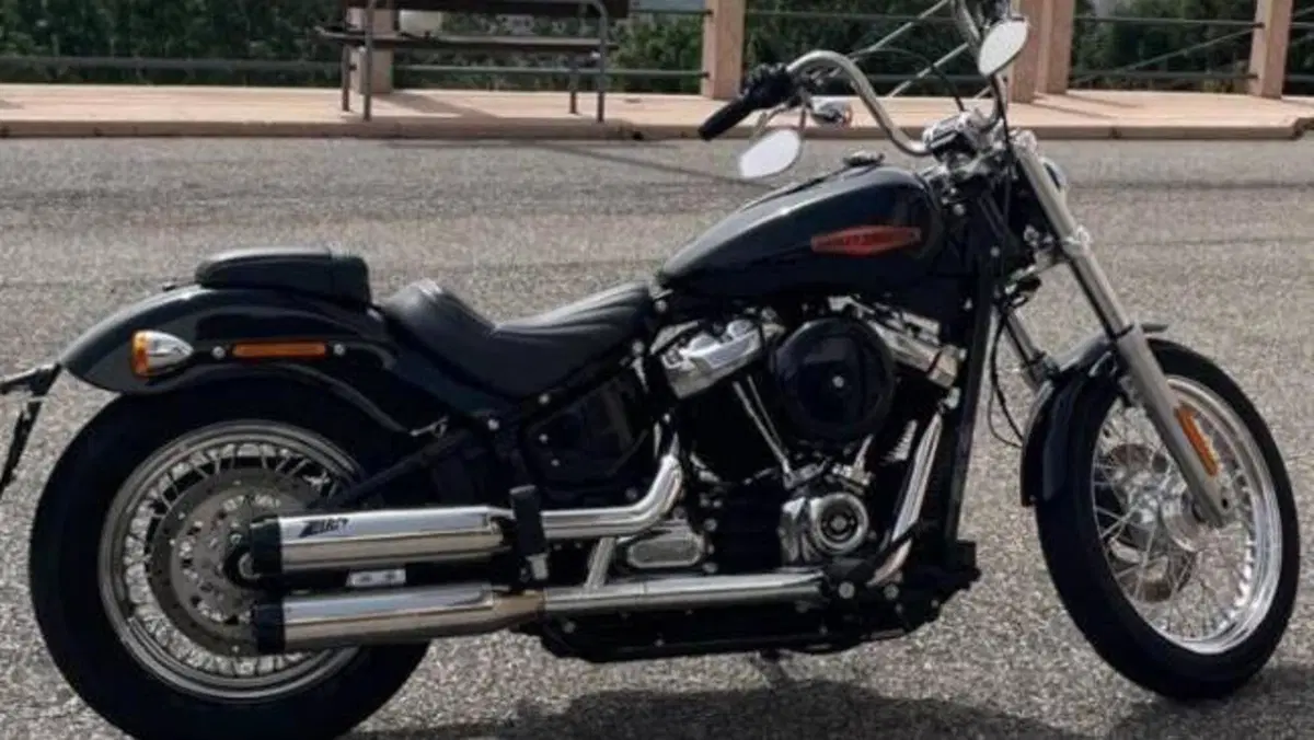 Harley-Davidson Softail Standard (2021 - 25)  (2)