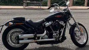 Harley-Davidson Softail Standard (2021 - 25)  (2)