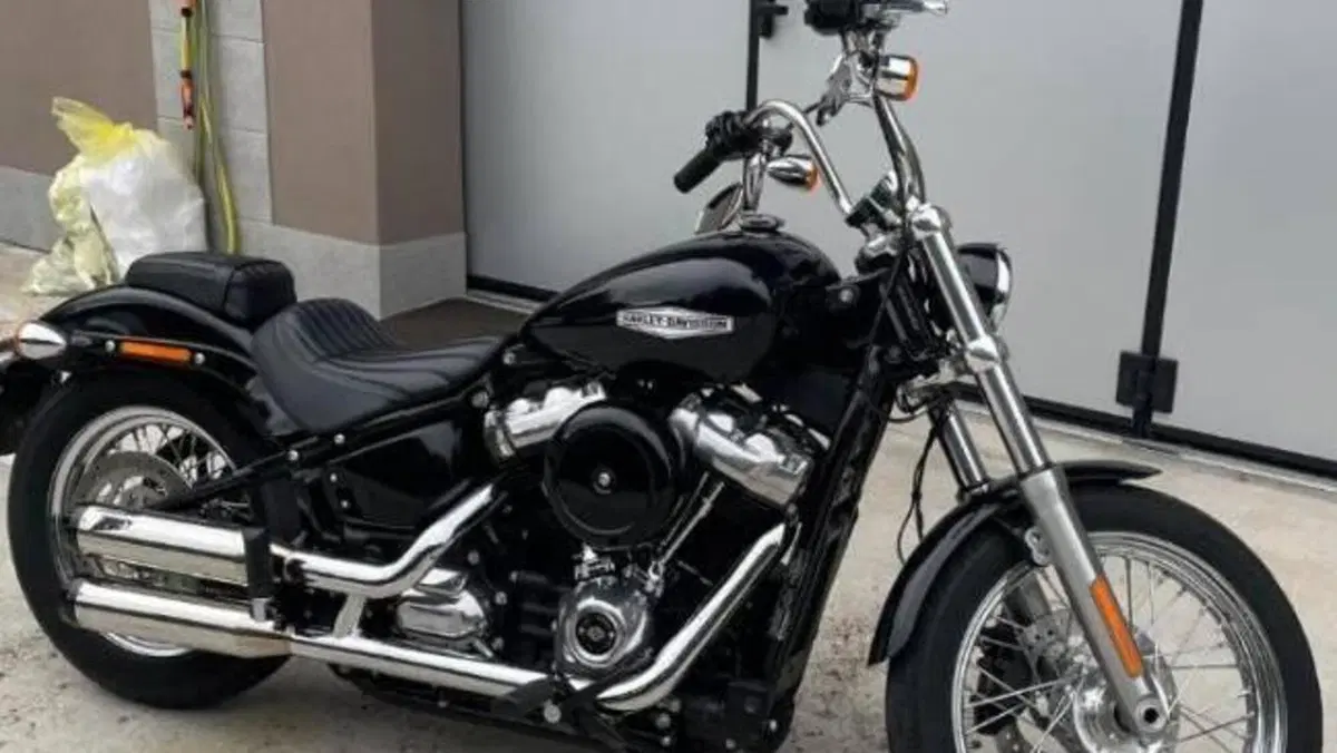 Harley-Davidson Softail Standard (2021 - 25)  (3)