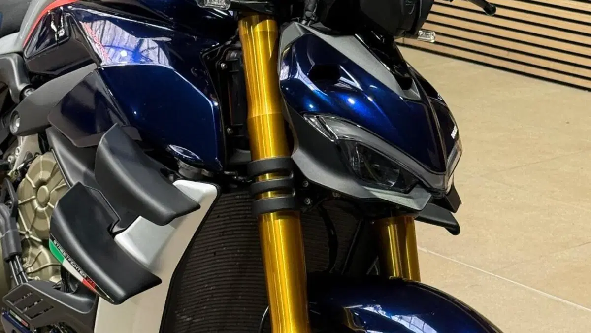 Ducati Streetfighter V4 1100 S (2021 - 22)  (5)