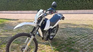 Betamotor Alp 4.0 (2008 - 17)  (2)