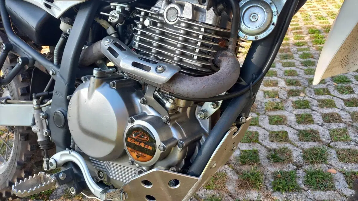 Betamotor Alp 4.0 (2008 - 17)  (3)
