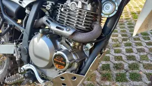 Betamotor Alp 4.0 (2008 - 17)  (3)