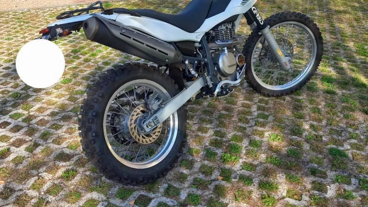 Betamotor Alp 4.0 (2008 - 17)  (4)