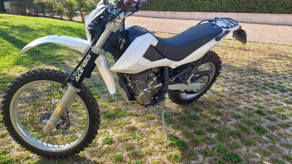 Betamotor Alp 4.0 (2008 - 17)  (7)