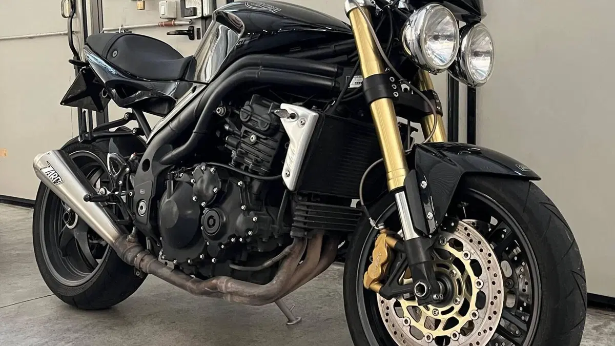 Triumph Speed Triple 1050 (2005 - 11)  (2)