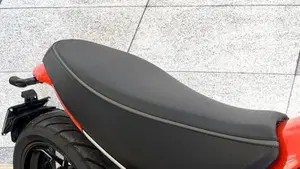 Ducati Scrambler 800 Icon (2017 - 20)  (5)