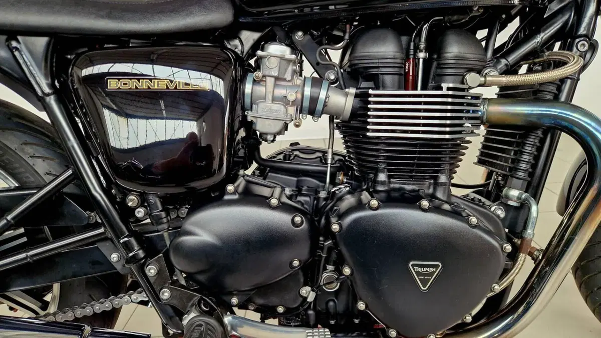 Triumph Bonneville SE (2009 - 13)  (4)