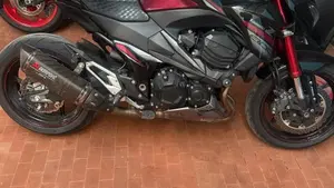 Kawasaki Z 800 Sugomi Edition ABS (2016)  (3)