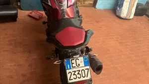 Kawasaki Z 800 Sugomi Edition ABS (2016)  (5)