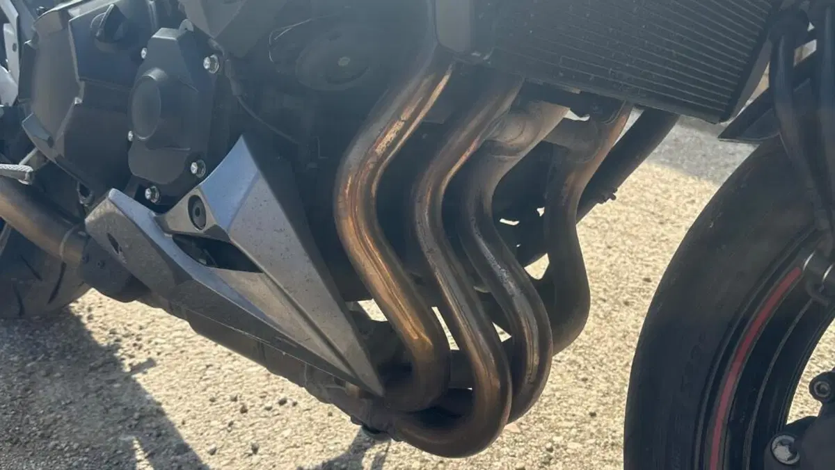 Kawasaki Z 800 Sugomi Edition ABS (2016)  (7)