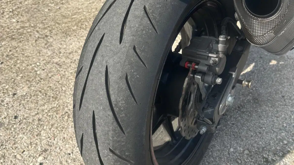 Kawasaki Z 800 Sugomi Edition ABS (2016)  (9)