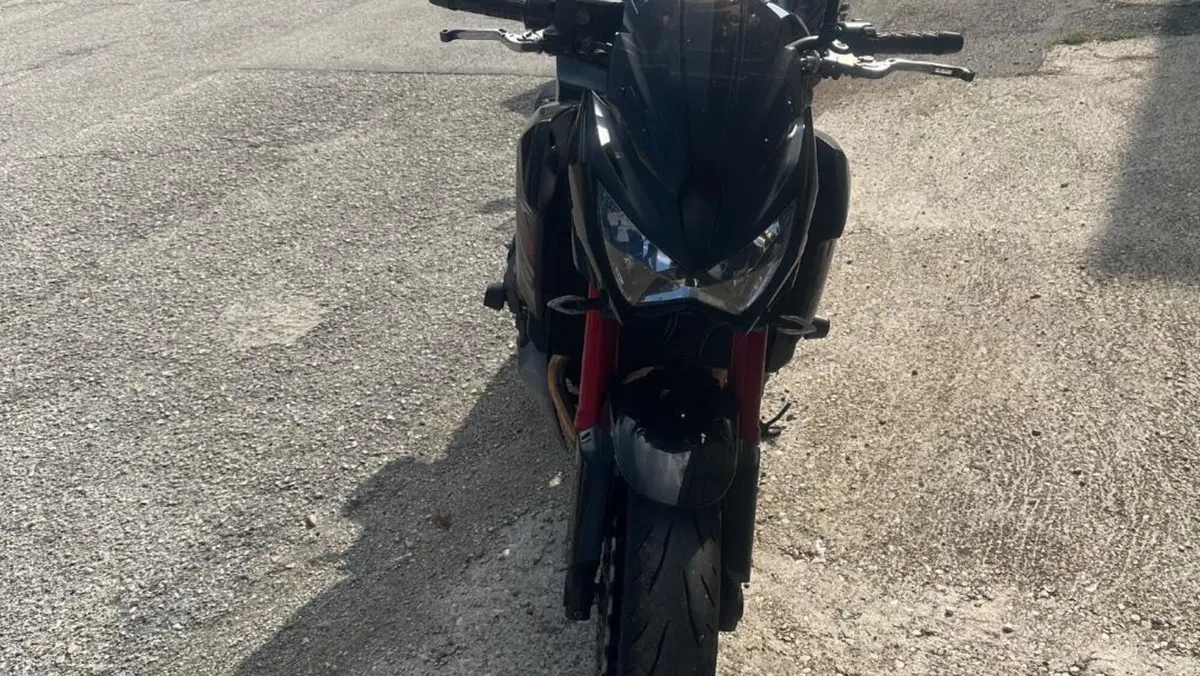 Kawasaki Z 800 Sugomi Edition ABS (2016)  (12)