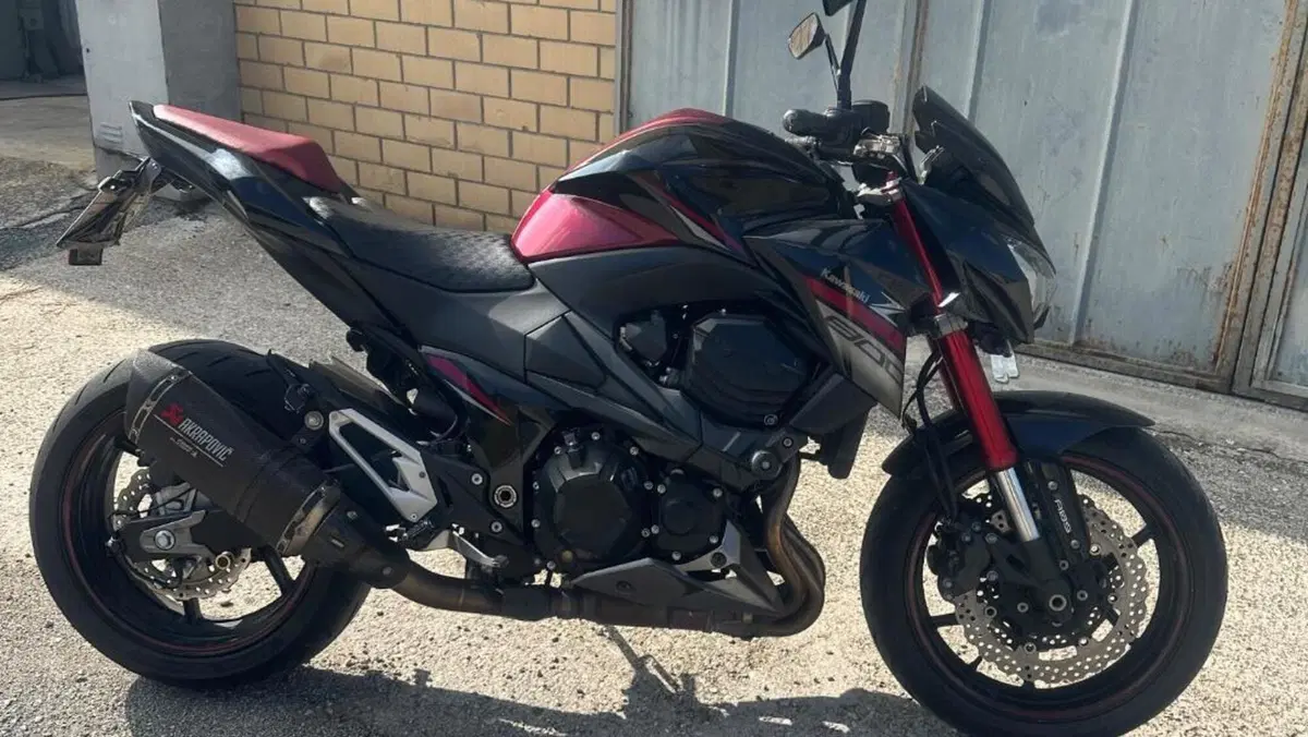 Kawasaki Z 800 Sugomi Edition ABS (2016)  (13)