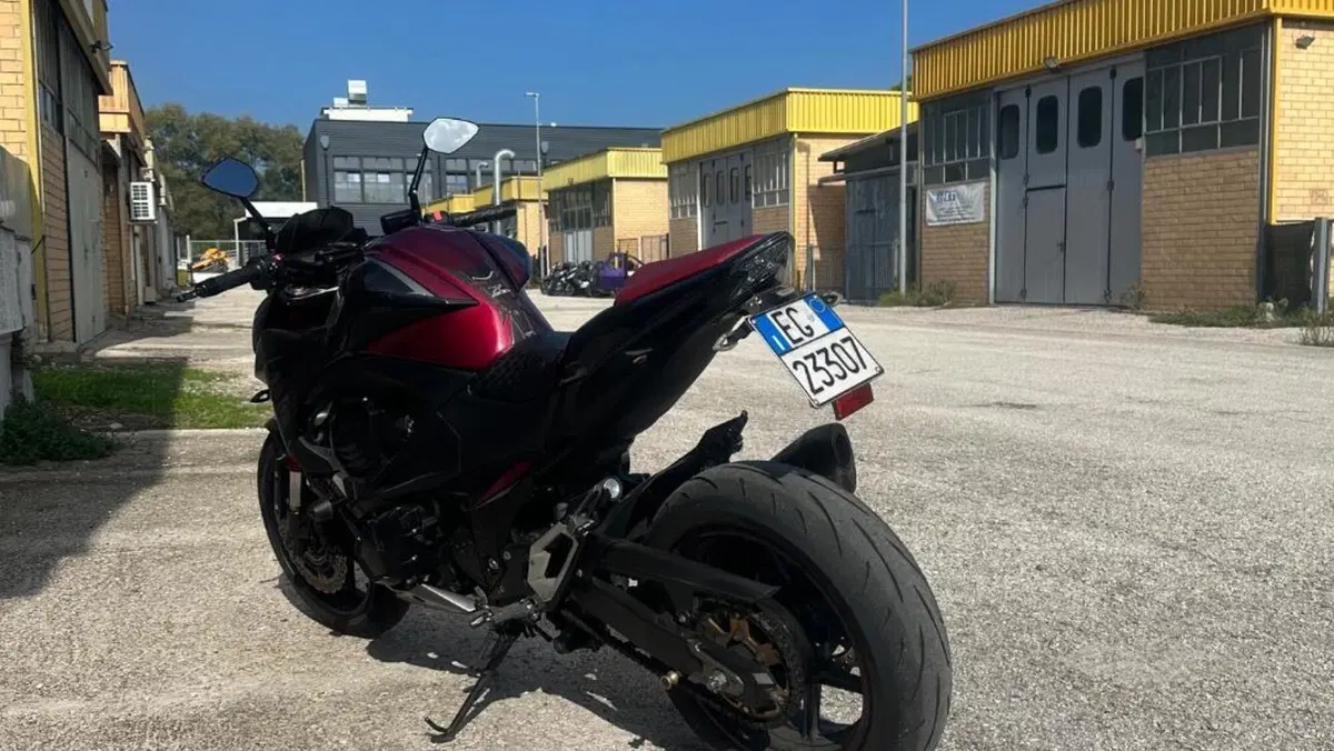 Kawasaki Z 800 Sugomi Edition ABS (2016)  (15)