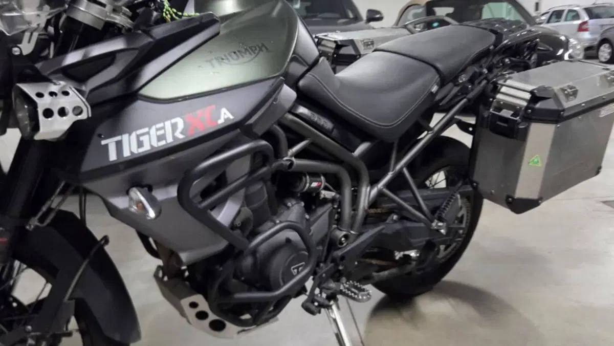 Triumph Tiger 800 XCa (2015 - 17)  (7)