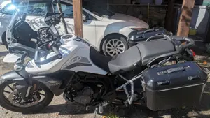 Triumph Tiger 900 GT (2020 - 23)  (8)