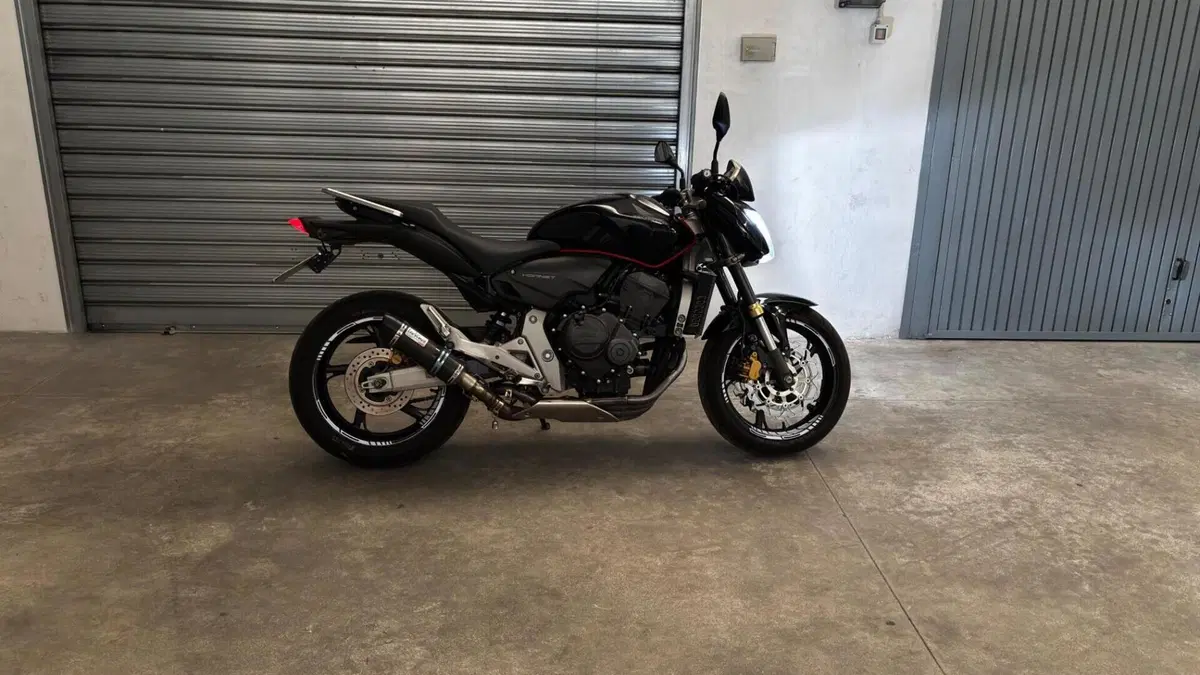 Honda Hornet 600 (2007 - 10) 