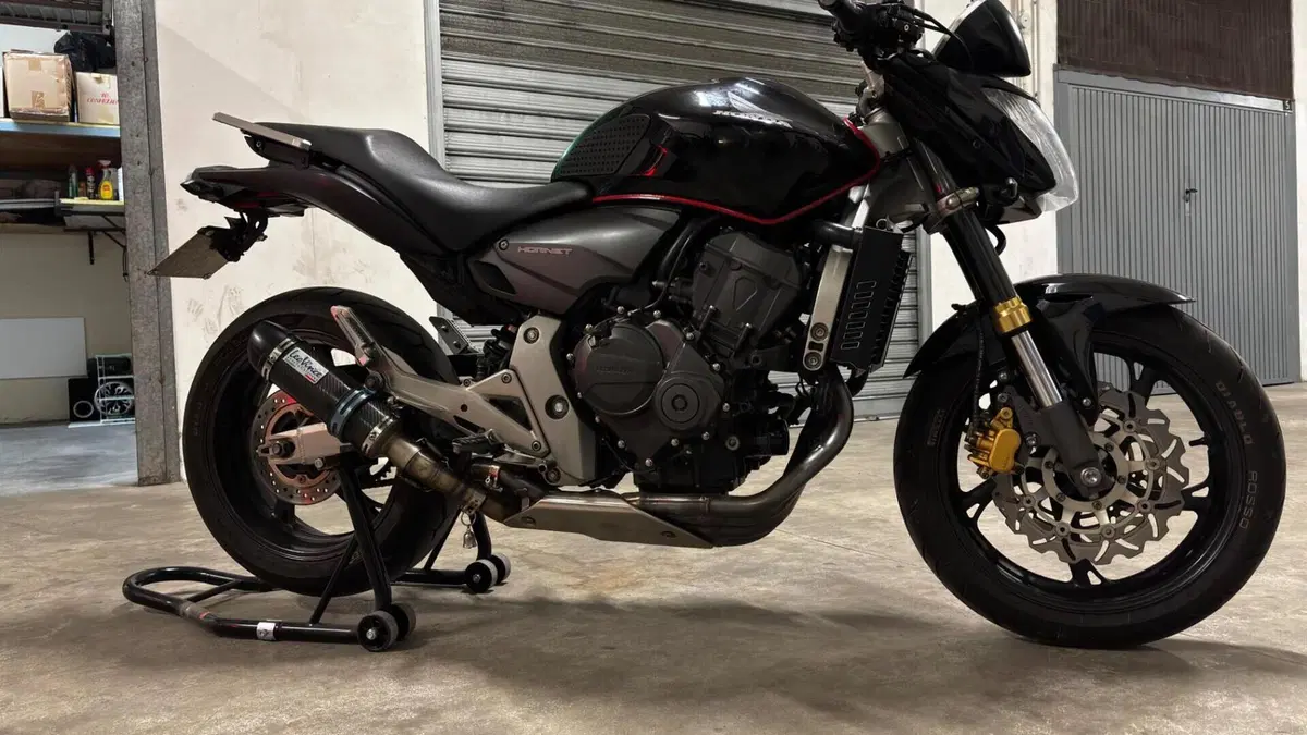 Honda Hornet 600 (2007 - 10)  (4)
