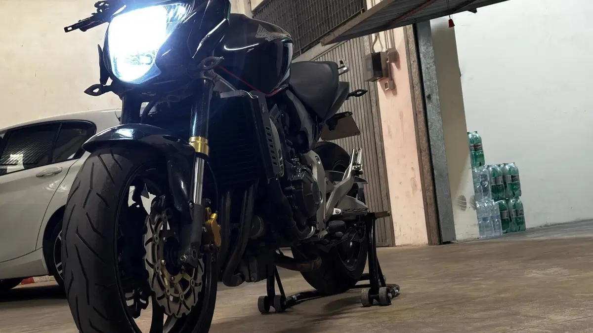 Honda Hornet 600 (2007 - 10)  (6)