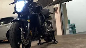 Honda Hornet 600 (2007 - 10)  (6)