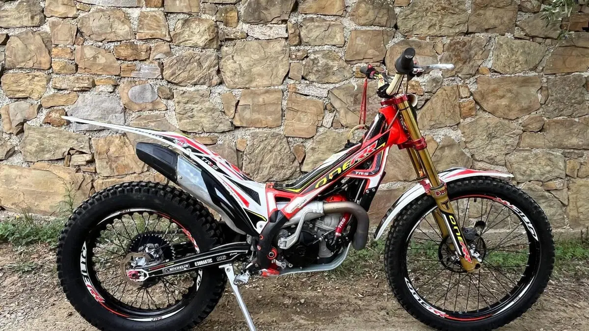 TRS Motorcycles One 300 RR (2020)  (3)