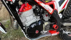 TRS Motorcycles One 300 RR (2020)  (5)