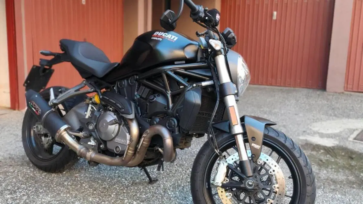 Ducati Monster 821 (2018 - 20)  (7)