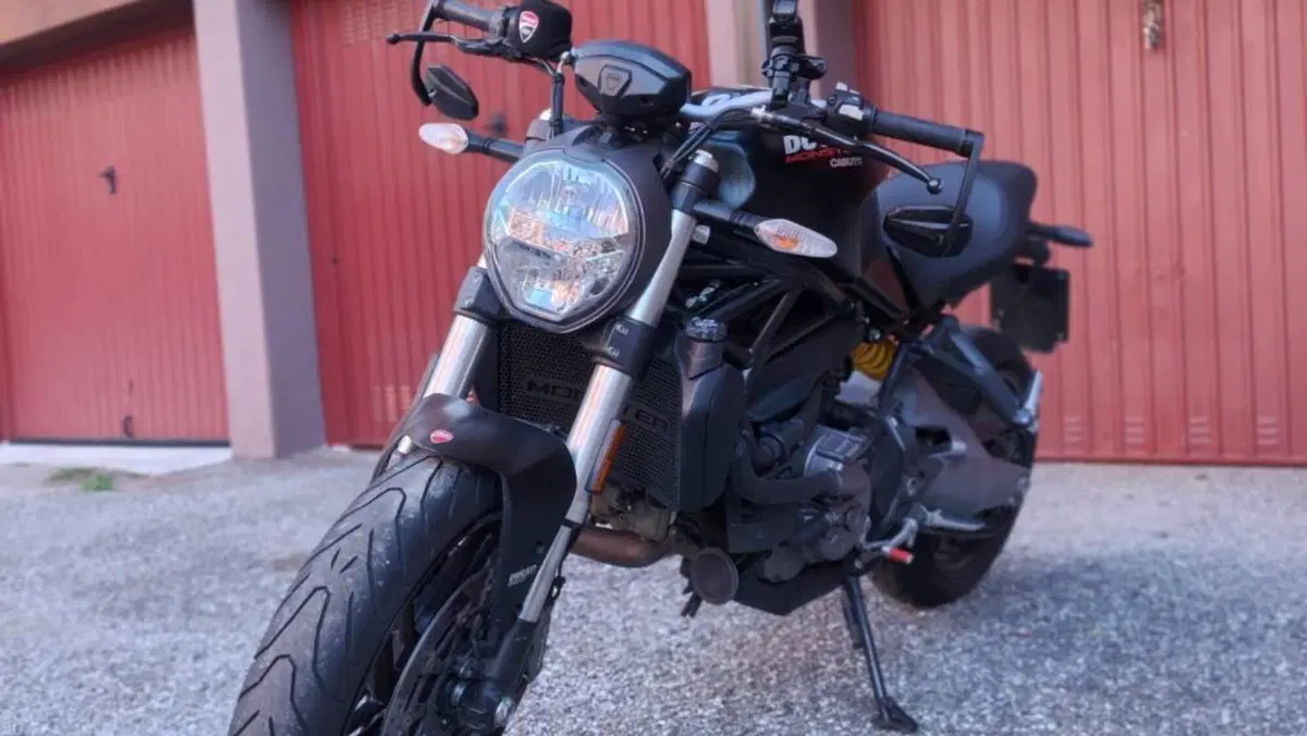 Ducati Monster 821 (2018 - 20)  (8)