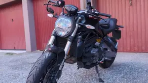 Ducati Monster 821 (2018 - 20)  (8)