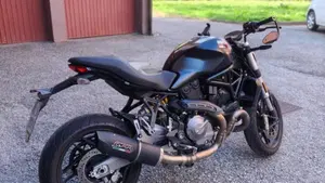 Ducati Monster 821 (2018 - 20)  (9)