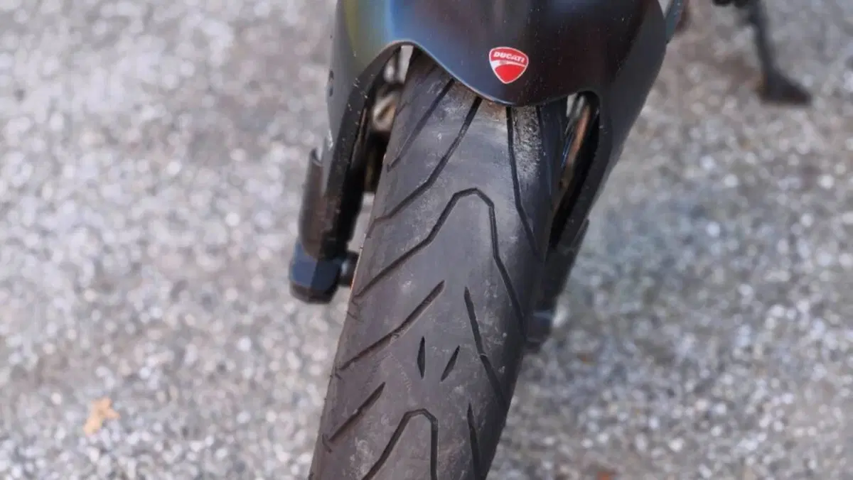 Ducati Monster 821 (2018 - 20)  (10)