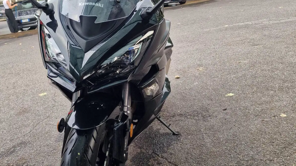 Kawasaki Z 1000 SX Tourer (2017 - 20)  (4)