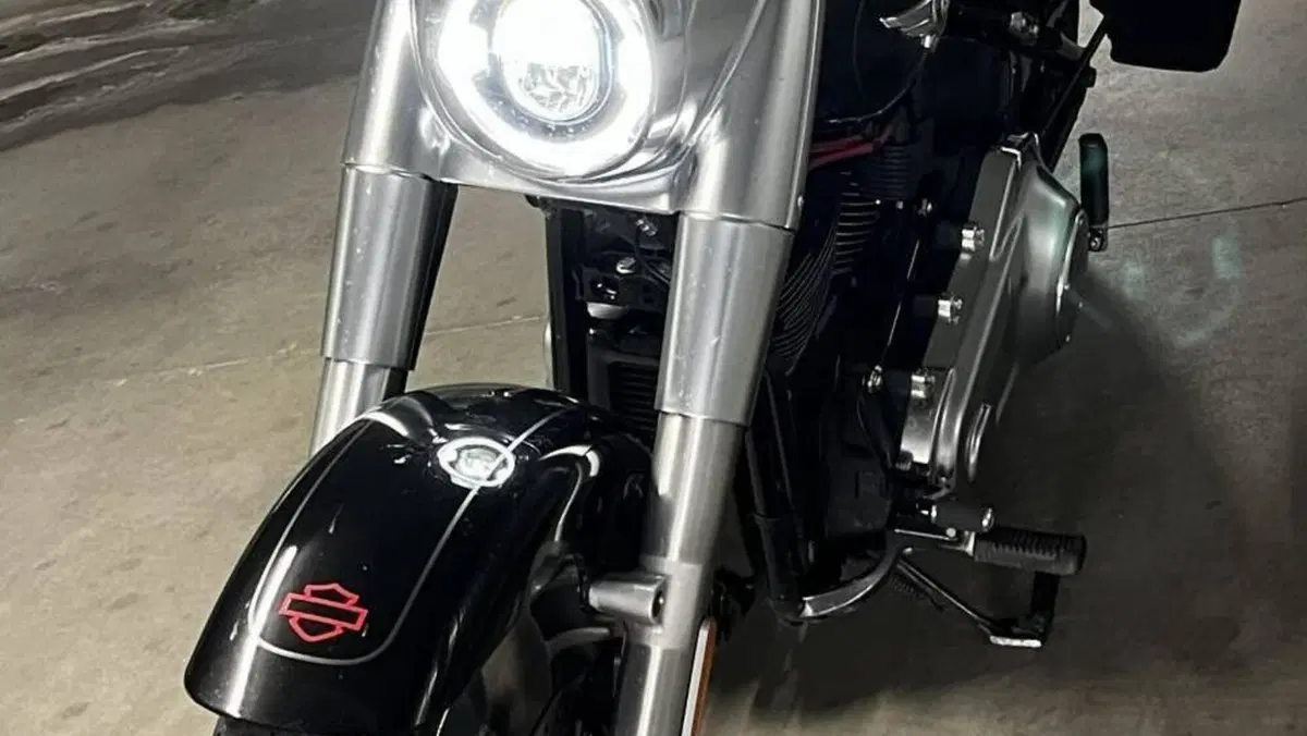 Harley-Davidson 114 Fat Boy (2018 - 20) - FLFBS  (4)