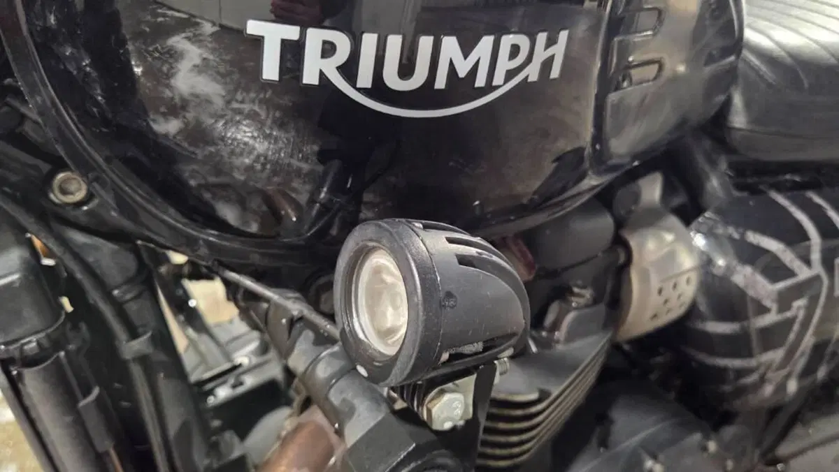 Triumph Street Twin 900 (2017 - 18)  (8)