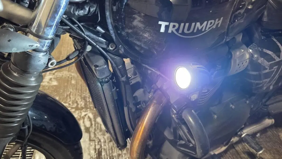 Triumph Street Twin 900 (2017 - 18)  (12)
