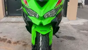 Kawasaki Ninja ZX-4R (2024 - 27)  (3)