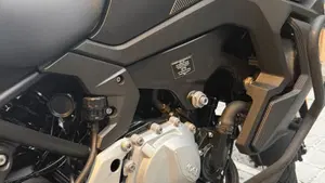 Voge Valico 900DSX (2024 - 26)  (5)