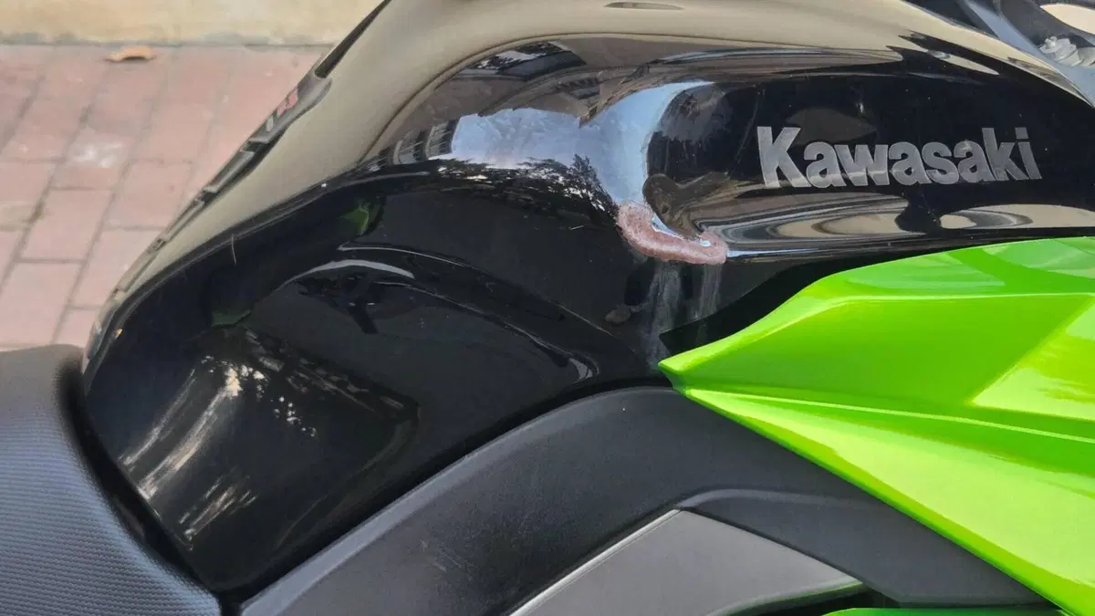 Kawasaki Z 1000 SX (2011 - 13)  (5)
