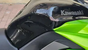 Kawasaki Z 1000 SX (2011 - 13)  (5)