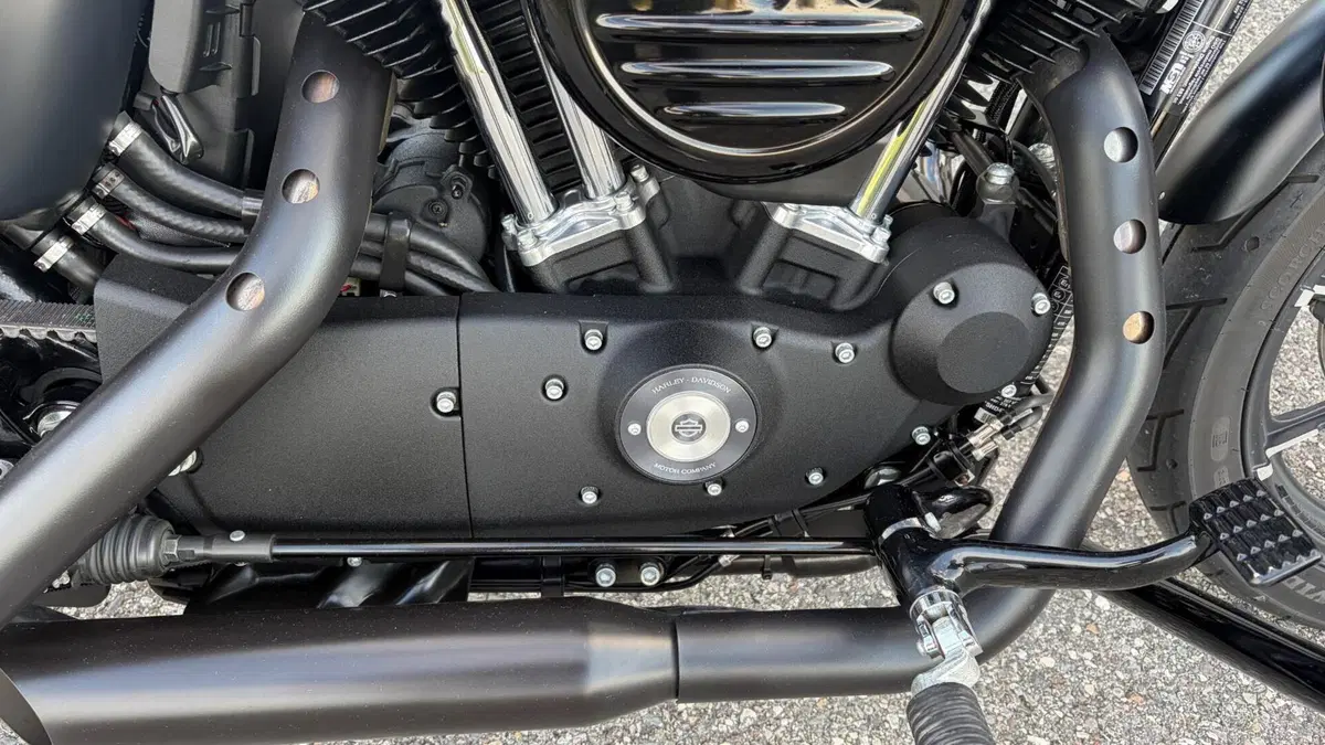 Harley-Davidson 883 Iron (2017 - 20) - XL 883N  (3)